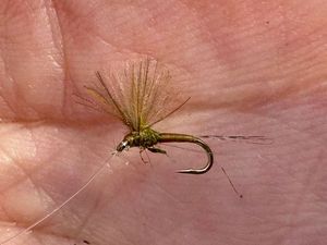 Flies CDC Olive Mouche Seches CDC Olive
