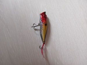 Lures Zack Popper bass