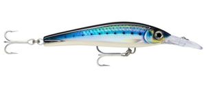 Lures Rapala X-Rap Magnum Xtreme 160 saltwatee