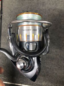 Reels DAIWA THEORY 2000 Reels DAIWA THEORY 2000