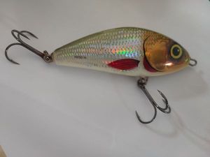 Lures Salmo FASTO 10