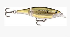 Lures Rapala X-RAP JOINTED 