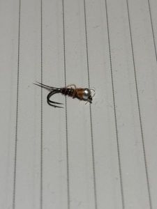 Flies null La casque grise 