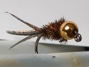 Flies null paon 1 Flies null paon 1