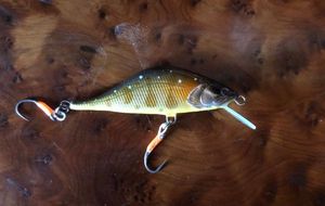 Lures Md Custom WINDY 50 TROUT