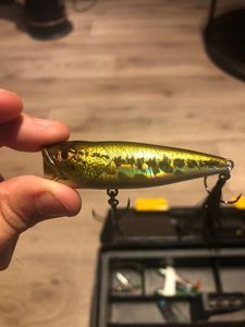 Lures Caperlan PPR 65 F