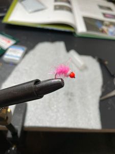 Flies hanak oscar’s pinky