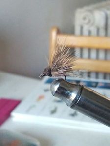 Flies null CADDIS 14 
