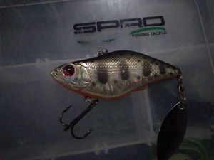 Lures null lipless spin tail