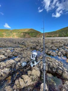 Rods Bone Bone SHORECASTING Travel Rod BVS 904mh