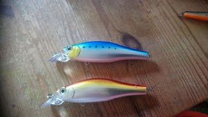 Baits & Additives Daiwa Daiwa T.D.