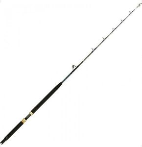 Rods Italcanna Canne italcana monel 20-50lbs