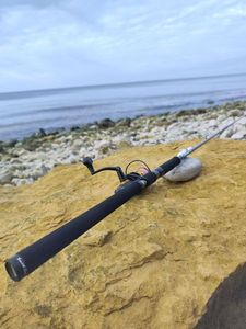 Lures Smith Shugendo sh2 20g/60g longueur 210cm