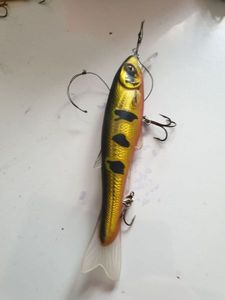 Lures Caperlan nageur tigre