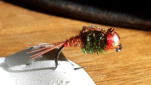Flies null Phaisantail queuedepaon 2b Flies null Phaisantail queuedepaon 2b