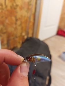 Lures Prorex Prorex