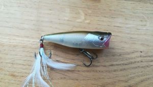 Lures Caperlan Ppr 65 f