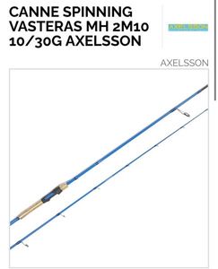 Rods Vasteras Axelsson spinning 10/30g 2m10