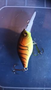 Lures Caperlan Crank DD 40 F
