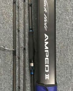 Rods ns black hole amped 2 