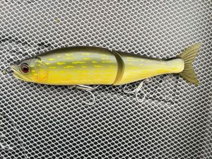 Lures Gan Craft Jointed claw 178 SS coloris 01 pike