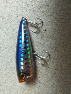 Lures Hardcore Bass Fishing Hardcore LG Popper 50 (F)