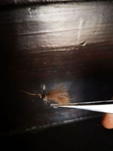 Flies null Sedge brun