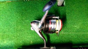 Reels Daiwa daiwa megaforce 