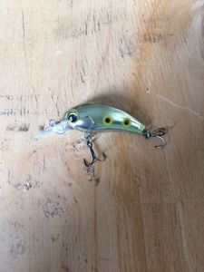 Lures null Imatetra di