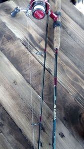 Rods Mitchell Exellence200 8/12g carbonne