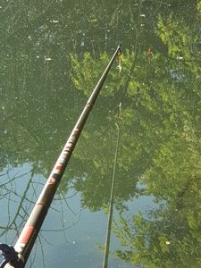 Rods Milo Milo redvolution bank