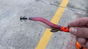 Lures Williamson Willamson killer