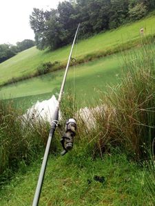 Rods Mitchell tanager camo