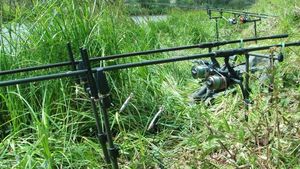Rods JRC cannes Jrc sabre x