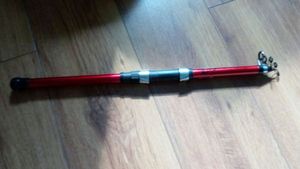 Rods Caperlan telescopique