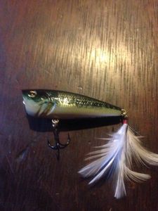 Lures Caperlan Poppers