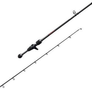 Rods Caperlan Axion Casting