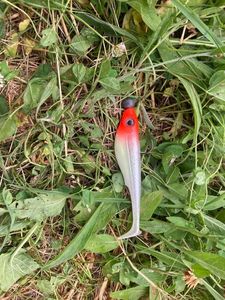 Lures Storm Leurre souple 10g