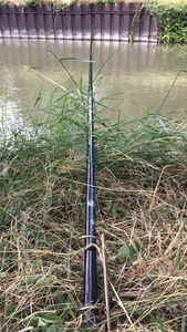 Rods Carperlan Canne A Coup