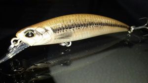 Lures Duo spearhead ryuki 70s