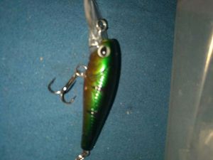 Lures Caperlan leurre a truite