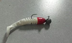 Lures Delalande skeleton