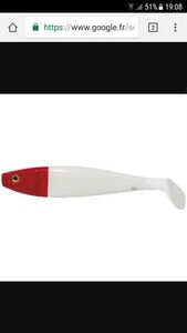 Lures Delalande shad gt