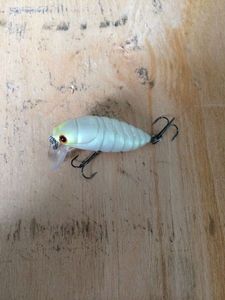 Lures null L'plug Cicada