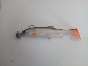 Lures null 1