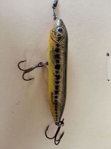 Lures Heddon Super Spook Jr