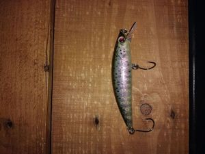 Lures Sakura phoxy minnow 85S rayé