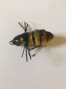 Lures Fishloose FL-EPP