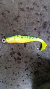 Lures Catspirit Shad coloris fire tiger 