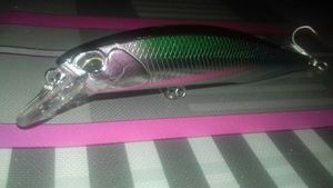 Lures Duo realis jerkbait 100sp 